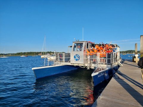 Scouts on Chichester Harbour boat trip