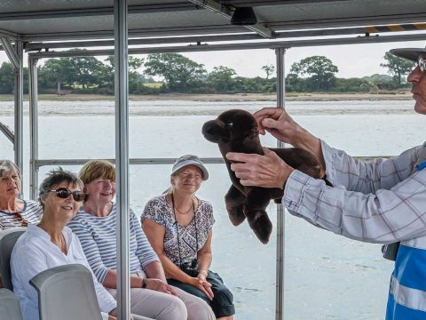 Seal Safari presentation on Chichester harbour boat trip